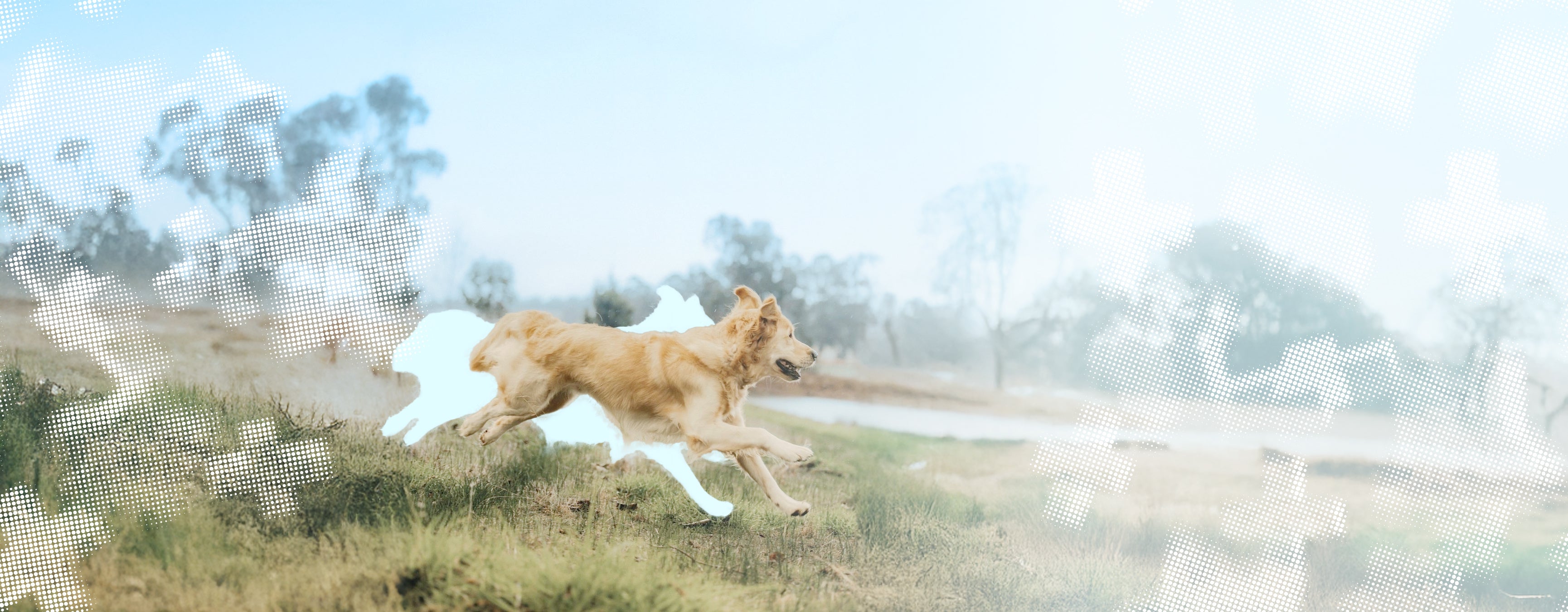 slider image slider_item_z3EUBQ