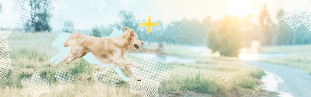 slider image slider_item_z3EUBQ